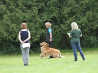 Bendix und das Boxband (53)